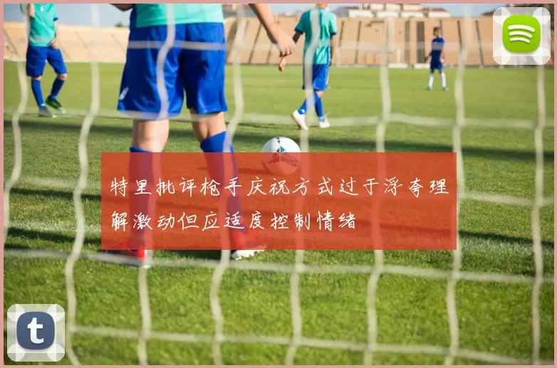 特里批评枪手庆祝方式过于浮夸理解激动但应适度控制情绪