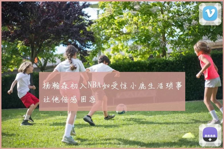 杨瀚森初入NBA如受惊小鹿生活琐事让他倍感困惑