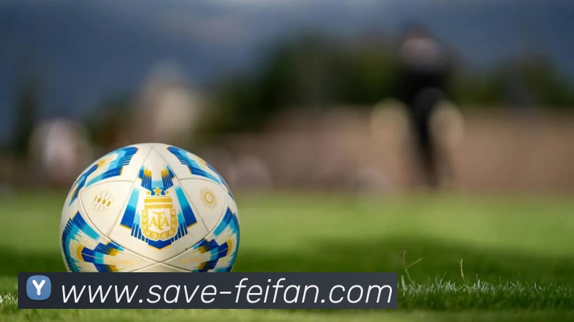 非凡娱乐平台生态图